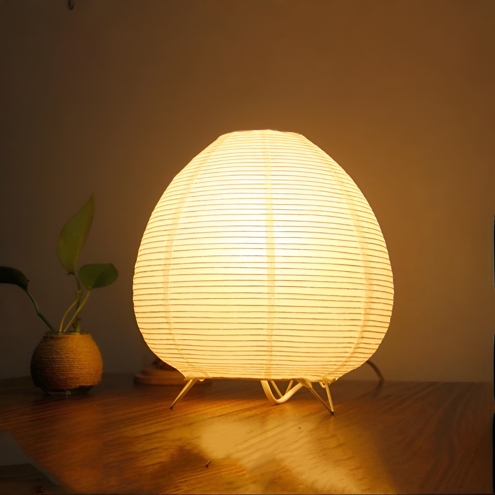 Wabi Sabi Egg Lamp