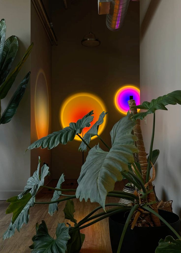 Sunset Lamp