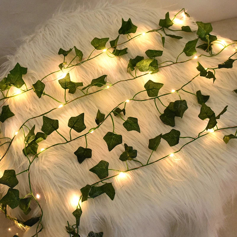 Fairy Lights