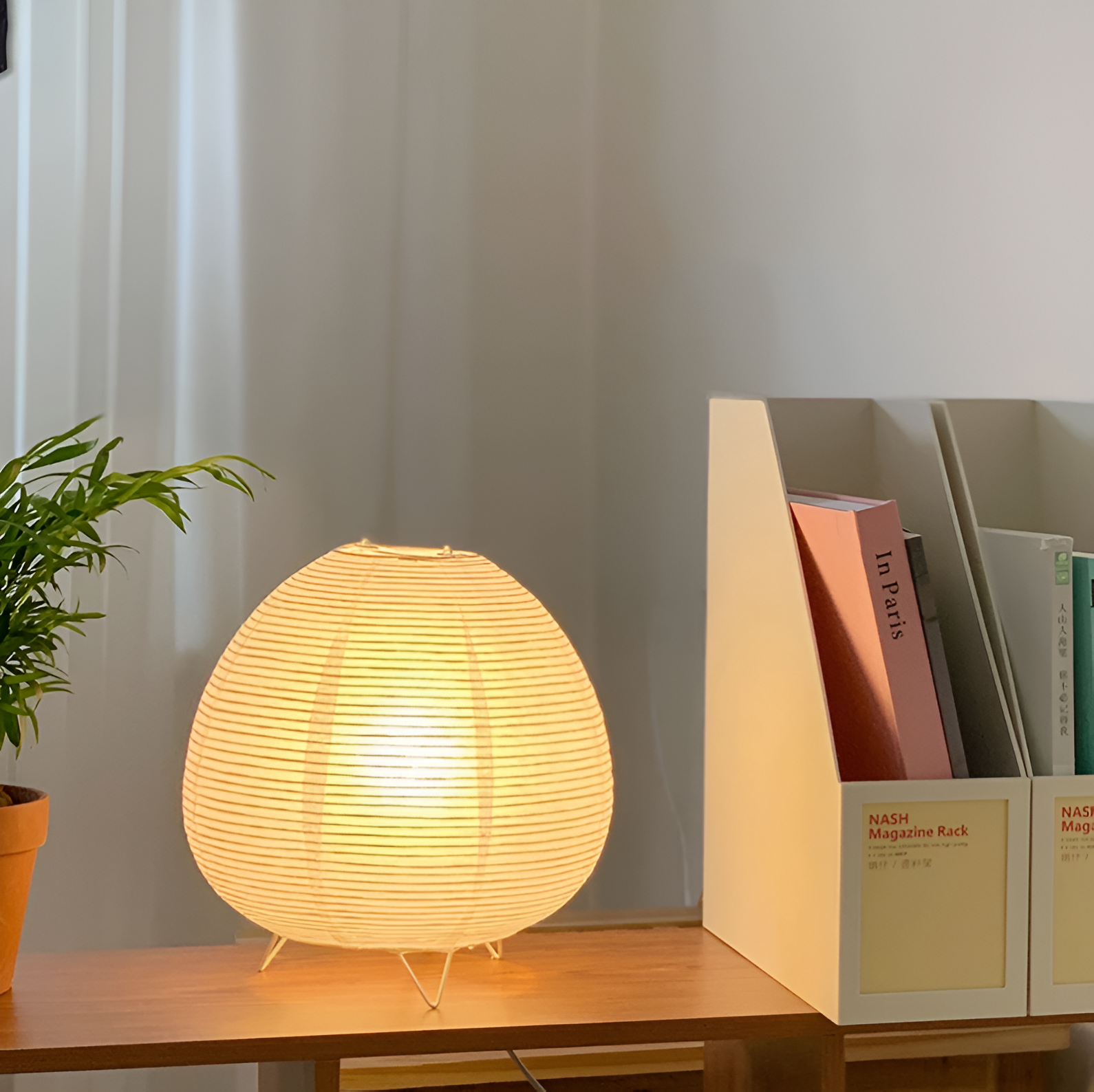 Wabi Sabi Egg Lamp