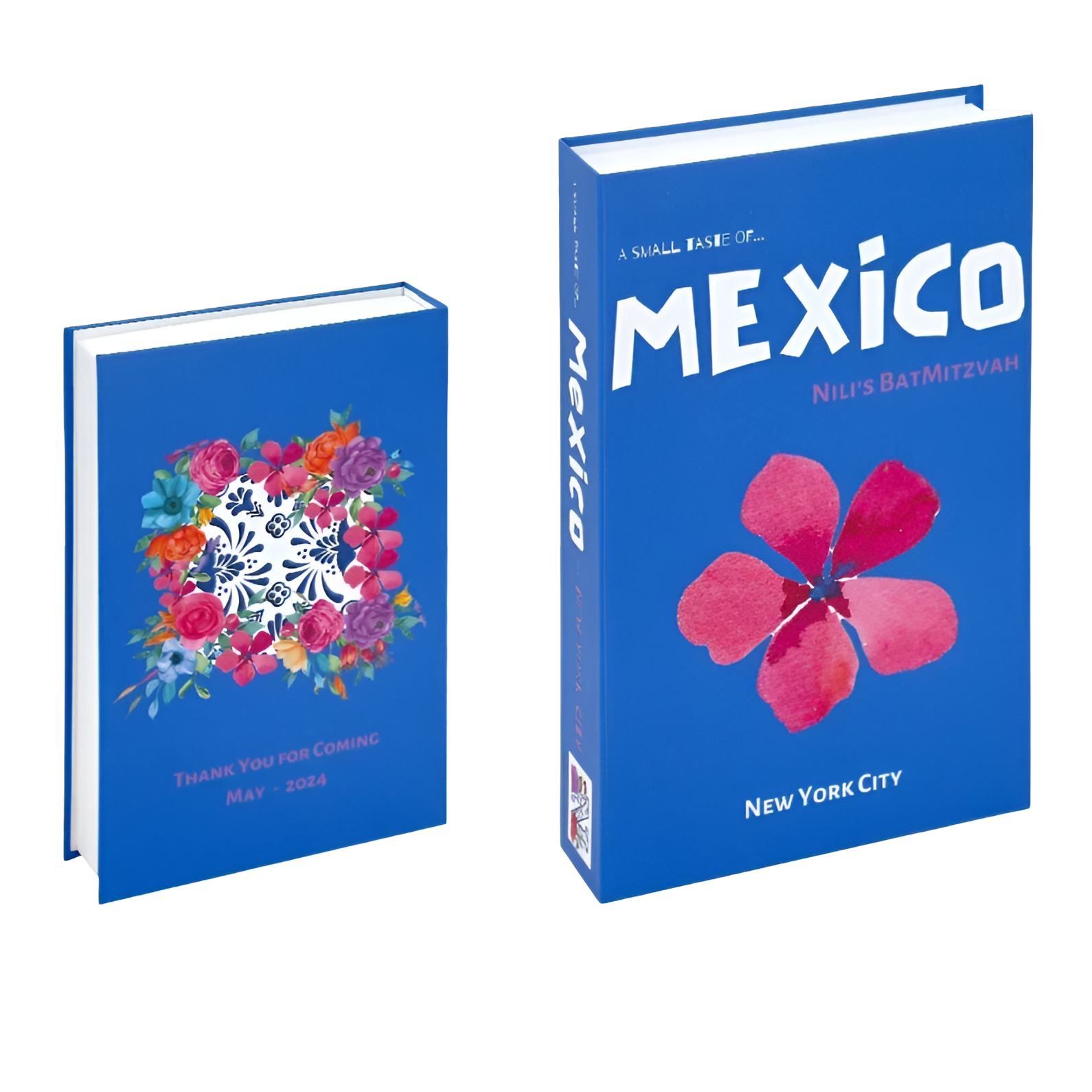 Travel Book Props